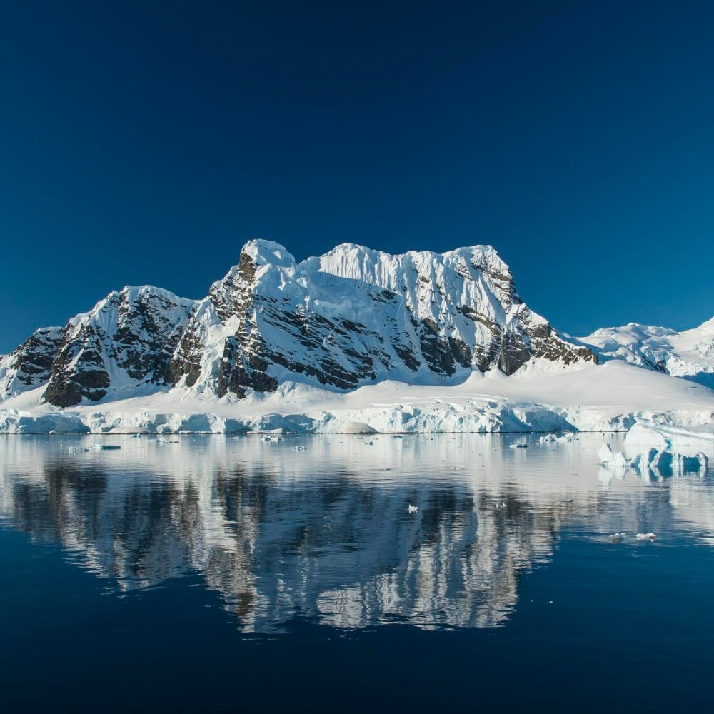 עידן הקרח: כל מה שרציתם לדעת על אנטארקטיקה