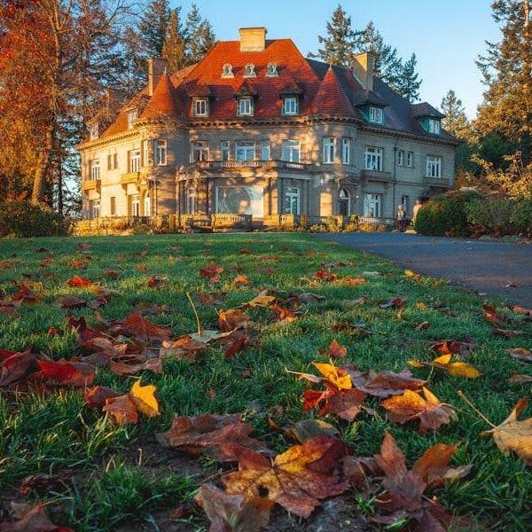 קלייטון: נופש מושלם, אטרקציות מרהיבות ו-eSIM לארצות הברית